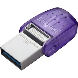 USB ფლეშ მეხსიერება Kingston DTDUO3CG3/256GB, 256GB, USB 3.2 Gen 1, Purple